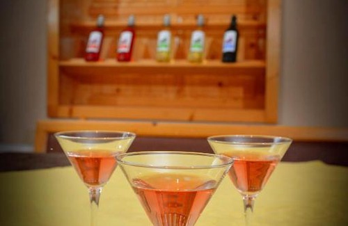 Berkovitsa House | Зелената Къща