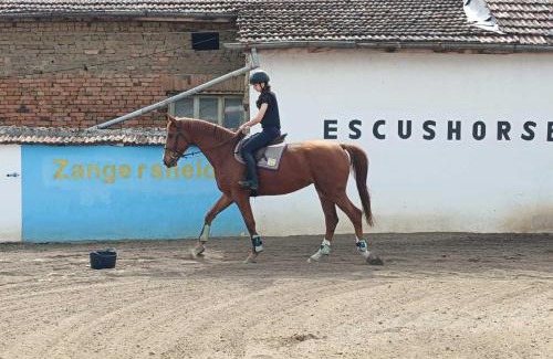 Gulyantsi House | Конна база Ескус Хорсес