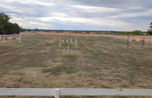 Gulyantsi House | Конна база Ескус Хорсес