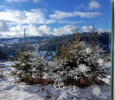 Palyanytsya House | Котеджі Зоряне Небо