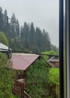 Vorokhta House | Котедж Віадук