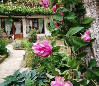 Dobrinishte House | Къща за гости Градината