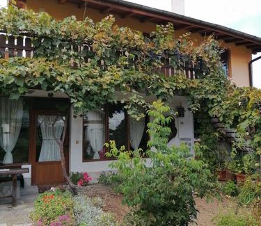 Dobrinishte House | Къща за гости Градината