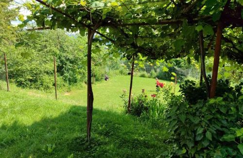 Gabrovo House | Къща за гости Слънце Борики