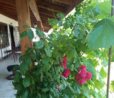 Kamenar House | Къща за гости Veranda Raia Поморие