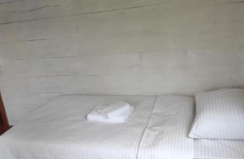 Yablunytsya Cabin | Мала Одеса