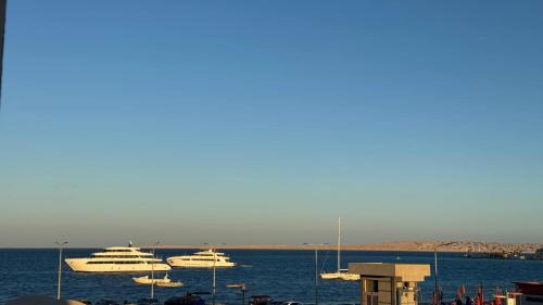 Corniche Road-Dahar Apartment | Маленький блакитний кит