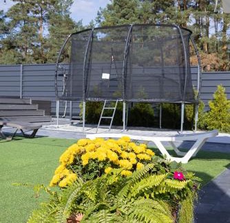 Chernihiv Oblast Cabin | Маєток Боромицький