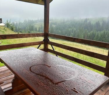 Vorokhta Cabin | Мелодія Гір Вид на гори