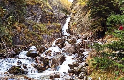 Arkhyz Apartment | Мишкин Дом