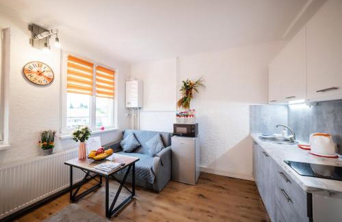 Uzhhorod Apartment | Найкраще розташування у місті Нові smart-квартири