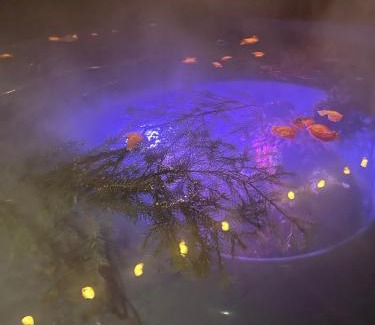 Lviv Oblast Cabin | На Краю Світу