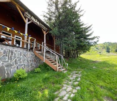 Dragobrat Hotel | Оаза