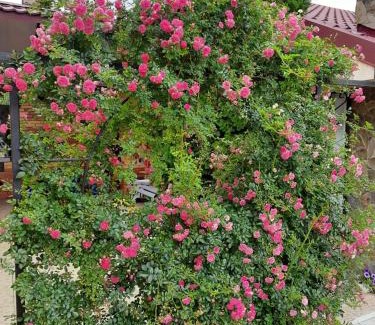 Ataki Hotel | Панівецька Садиба