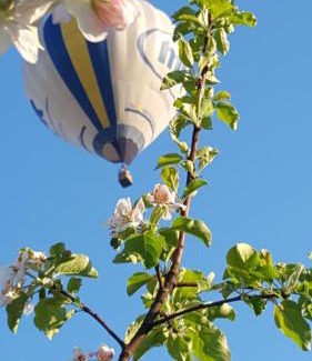 Ataki Hotel | Панівецька Садиба