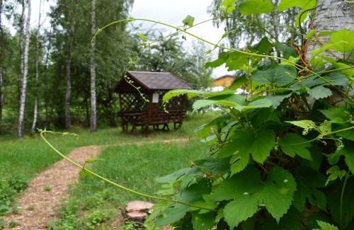 Yerkiv Other | Парк природи Беремицьке та Парк-готель Лісове Озеро