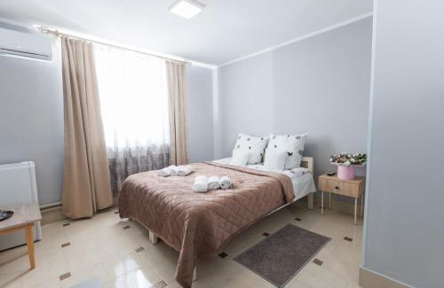 Vyzhnytsya Hotel | Перлина Карпат