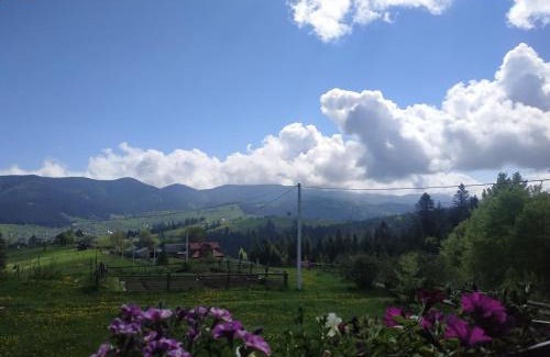 Vorokhta Apartment | Приватна садиба "Гірський затишок"