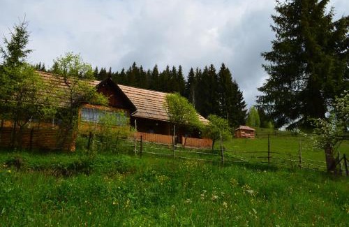 Vorokhta Apartment | Приватна садиба 'Світлиця гуцульщини"