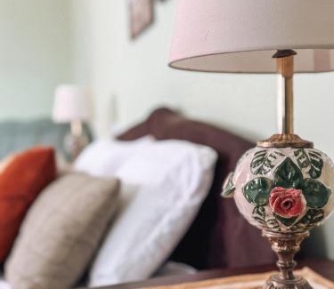 Chernovtsy Apartment | Простора 2-кімн квартира в центрі Чернівців на Турецькій 18