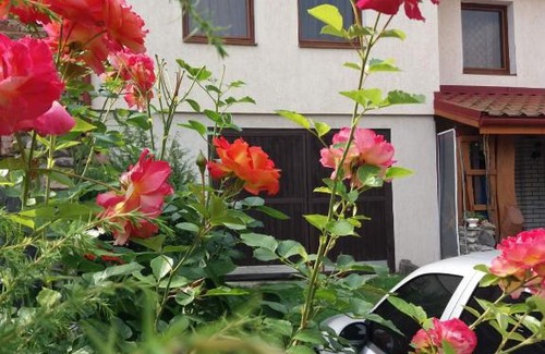 Volovets Cabin | Під горою