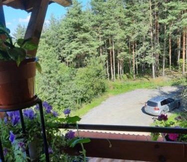 Vranyantsi House | Райчевата къща - Кюстендил