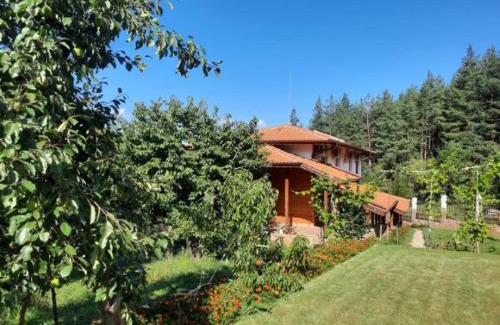 Vranyantsi House | Райчевата къща - Кюстендил