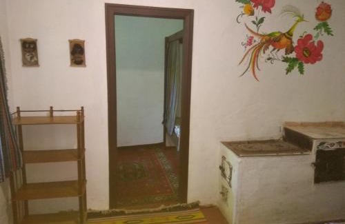 Cherkasy Oblast Apartment | Садиба "БІля Виру"