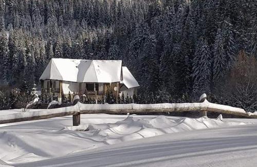 Tatariv House | Садиба "Градний Узвіз"