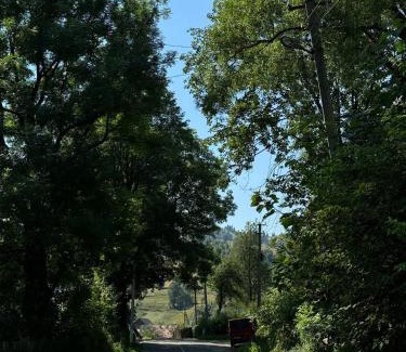 Synevyrska Polyana House | Садиба у Софійки