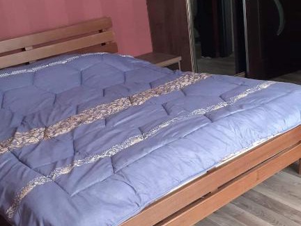 Bakuriani Villa | Семейный коттедж