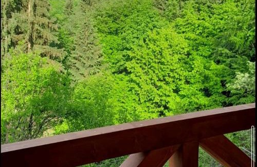 Yasinya House | Смерекова хата