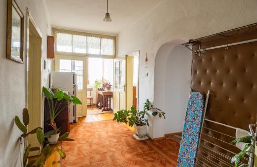 Razlog Apartment | Стаи за гости Божана