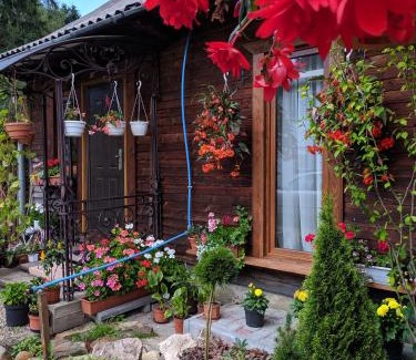Vorokhta House | Сімейна хатинка