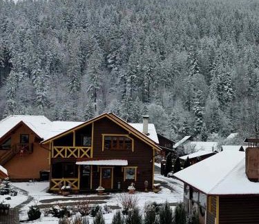 Tatariv Apartment | Сімейний котедж У Діани