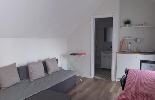 Zrenjanin Apartment | Сјајни лешник