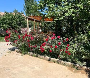 Issyk-Kul Region House | Уютный домик