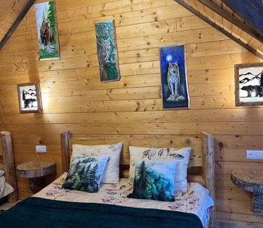 Synevyrska Polyana House | Файна хата 2