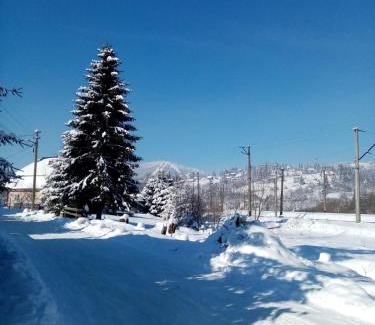 Slavske Apartment | чарівний куточок