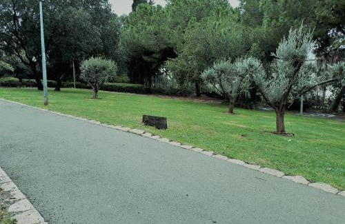 Haifa Apartment | דירת 3 חדרים מקסימה באחוזה