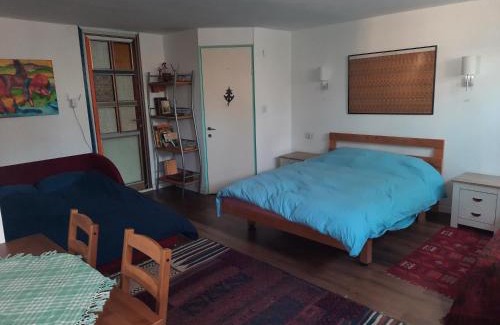 Arad Cabin | הבית הירוק - Green House