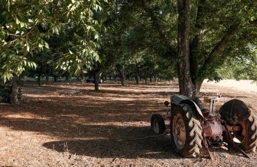 Beit Hillel Cabin | חווה של דני