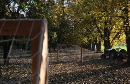 Beit Hillel Cabin | חווה של דני