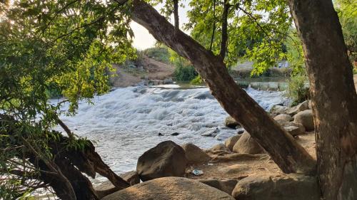 Amir Apartment | פינה בגינה יזרעאלי