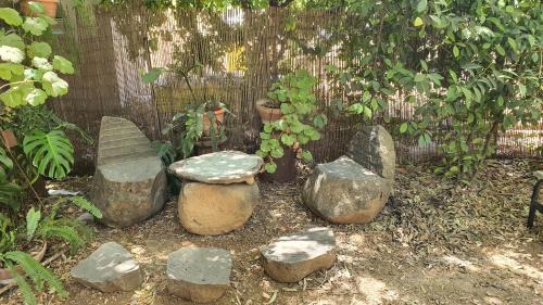 Amir Apartment | פינה בגינה יזרעאלי