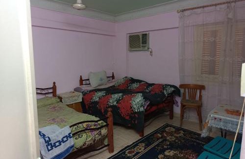 Al-'Amriyah Apartment | العجمى شاطئ النخيل القوات المسلحه