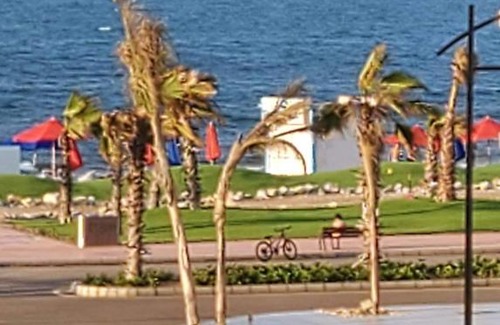 Al Jamaliyah Apartment | بورتوسعيد