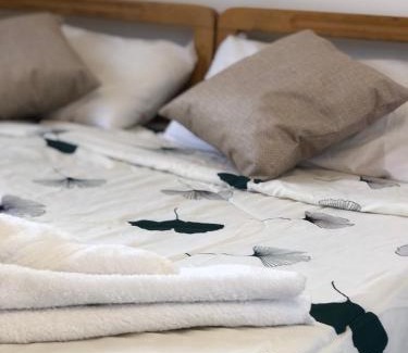 Umm Qais Apartment | بيت العُمري (ام قيس)