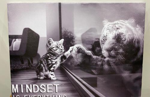 Hafr Al Batin Apartment | شقة فندقية فارهة