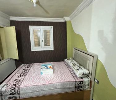 Mansoura Apartment | شقه صغيره فندقيه في موقع مميز جديده وفرش وموبيليا جديده